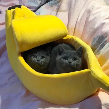 cama para gatos